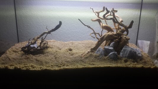 20140909_212535.jpg