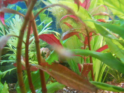 DSCN3609.JPG
