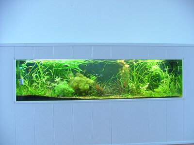 DSCF5723.JPG
