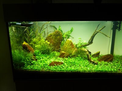 P1000993_2.JPG