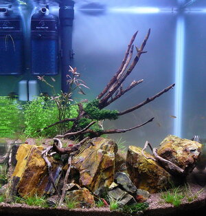 P1110423.JPG