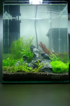 Nano 20l.JPG