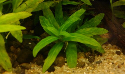 IMAG0222.jpg