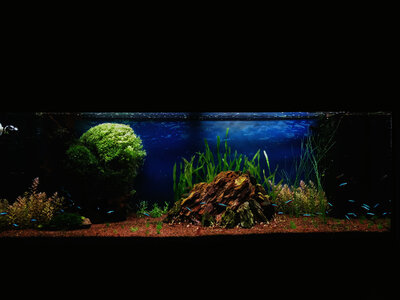 20140911_204246_LLS_1.jpg