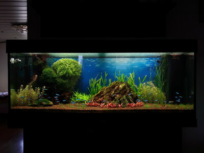 20140918_172321_LLS.jpg