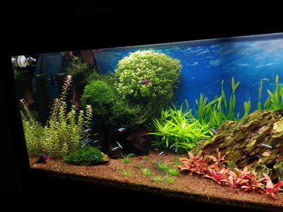 20140925_174950_LLS.jpg