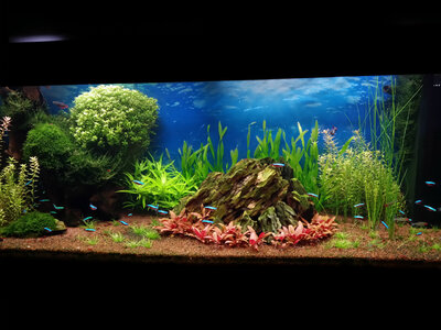 20140925_174954_LLS.jpg
