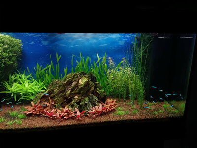 20140925_175258_LLS.jpg