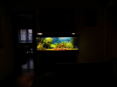 20140925_175310_LLS.jpg