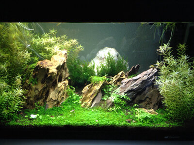ImageUploadedByTapatalk1412443126.538847.jpg