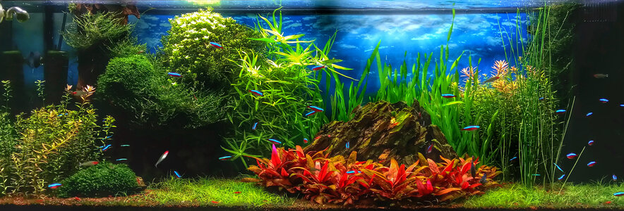 20141022_173537_LLS_1.jpg