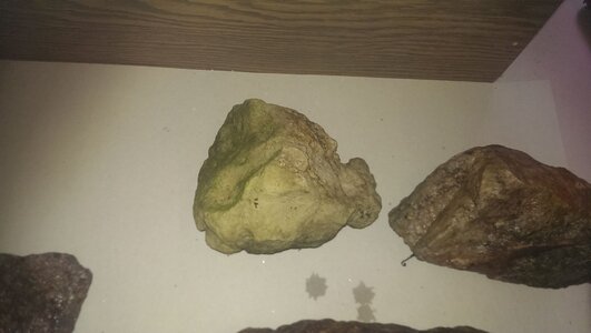 IMAG0661.jpg
