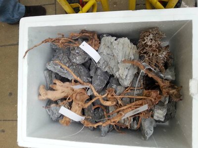 20141108_095909_(800_x_600) (2).jpg