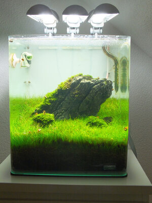 DSCF5510.JPG