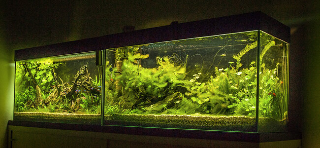 Aqua141115.jpg
