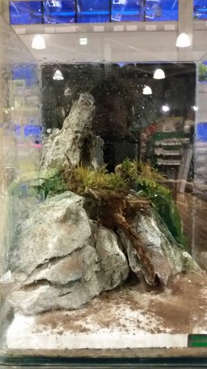 Der Baum ist grün.jpg