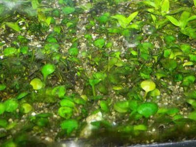 K640_20141230_204928.JPG