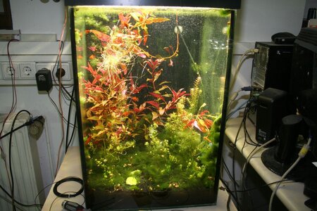96Liter-1.jpg