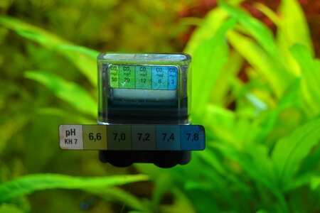 PH1.jpg
