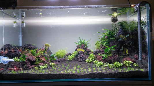 Natural Heritage (3).jpg