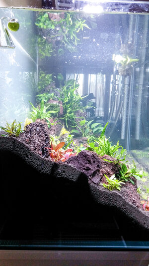 Natural Heritage (6).jpg
