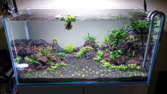 Natural Heritage (11).jpg