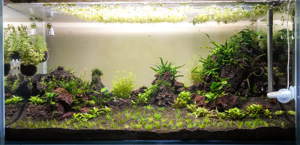 Natural Heritage-2.jpg