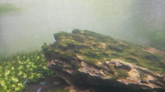 2015-03-28 20.14.36.jpg