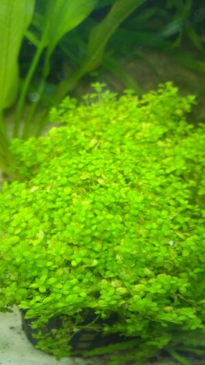 WP_20150426_009.jpg