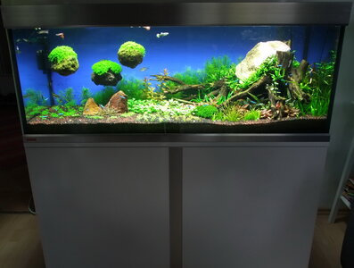 DSCF7234.JPG