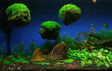DSCF7280.JPG
