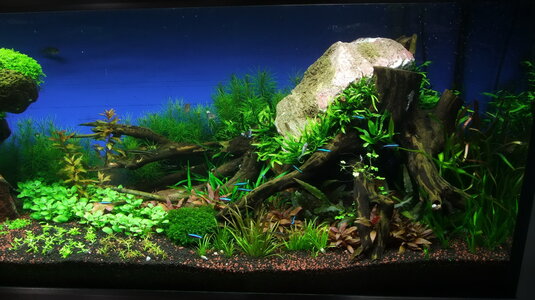 DSCF7242.JPG
