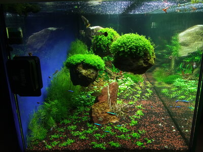 DSCF7249.JPG