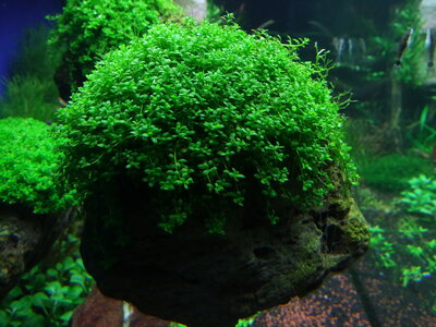 DSCF7276.JPG