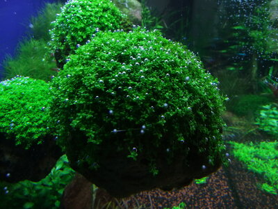 DSCF7291.JPG