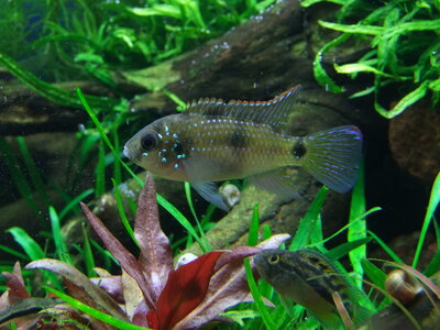 DSCF7313.JPG