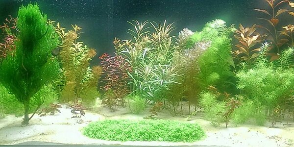 IMAG1694_1_1_1.jpg