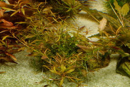 DSC_2215.jpg