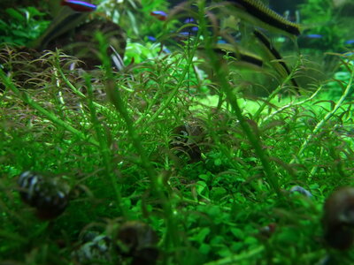 DSCF7325.JPG