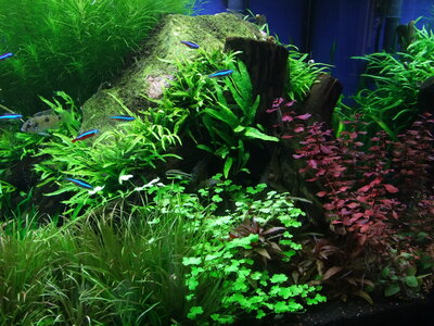 DSCF7364.JPG