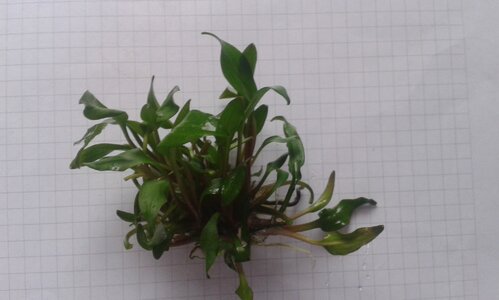20150713_200521.jpg