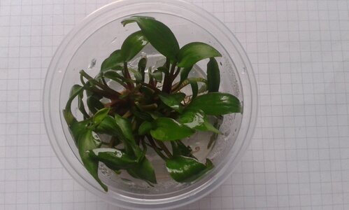 20150713_200438.jpg