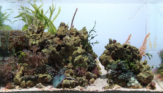 IMG_2100 2mb.jpg