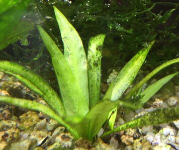 IMG_1493.JPG