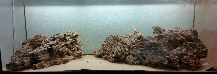 2015-11-08 20.23.27.jpg