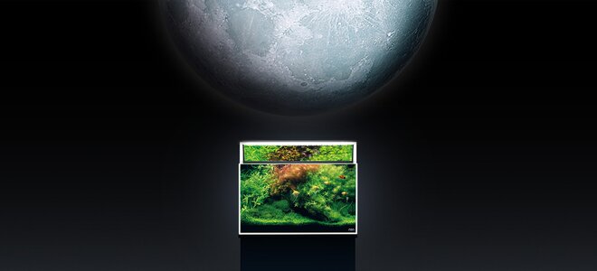 ADA Aquasky Moon - Kopie.jpg