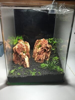20151124 (4).jpg