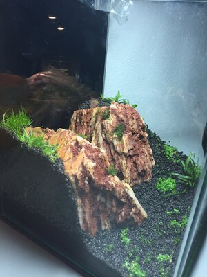 20151124 (2).jpg