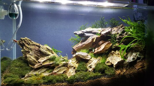 20160103_160118.jpg