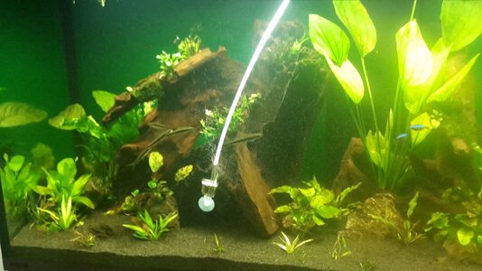 20160106_210033.jpg